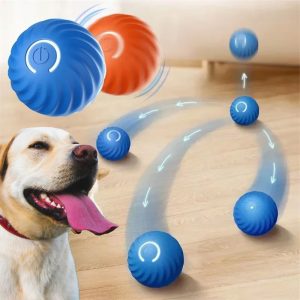 Jouet electronique pour Labrador